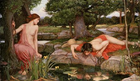 Echo and Narcissus, 1903