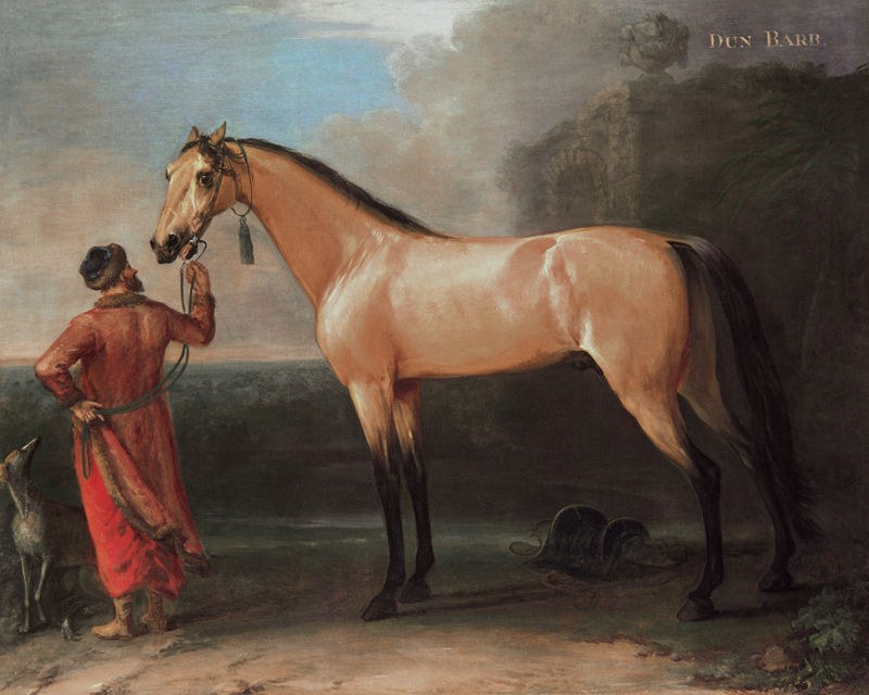 Dun Barb (Horse and Arabian Groom) von John Wootton