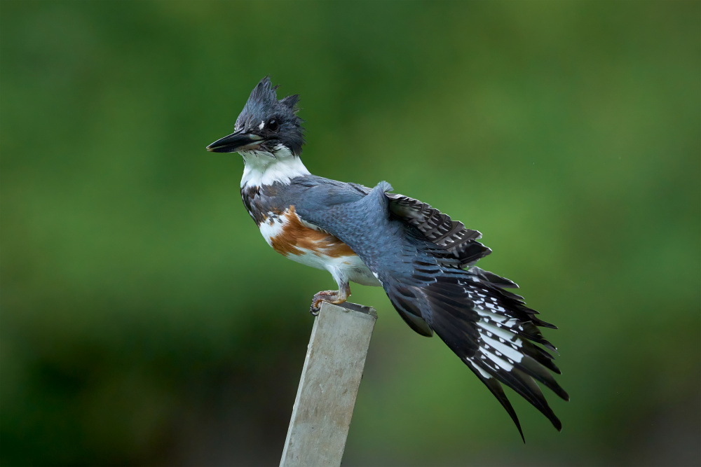 Yoga time von Johnny Chen