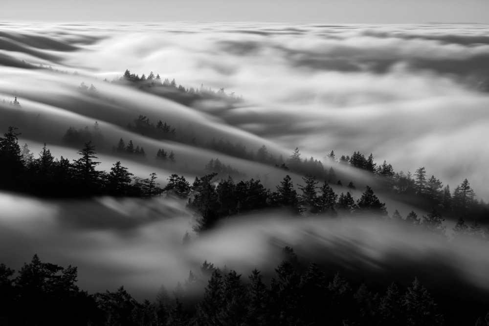 Bathing in the fog von Johnny Zhang