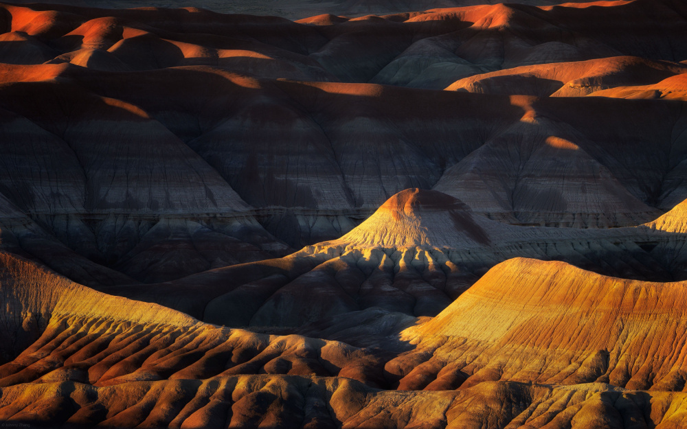 Last Light von Johnny Zhang