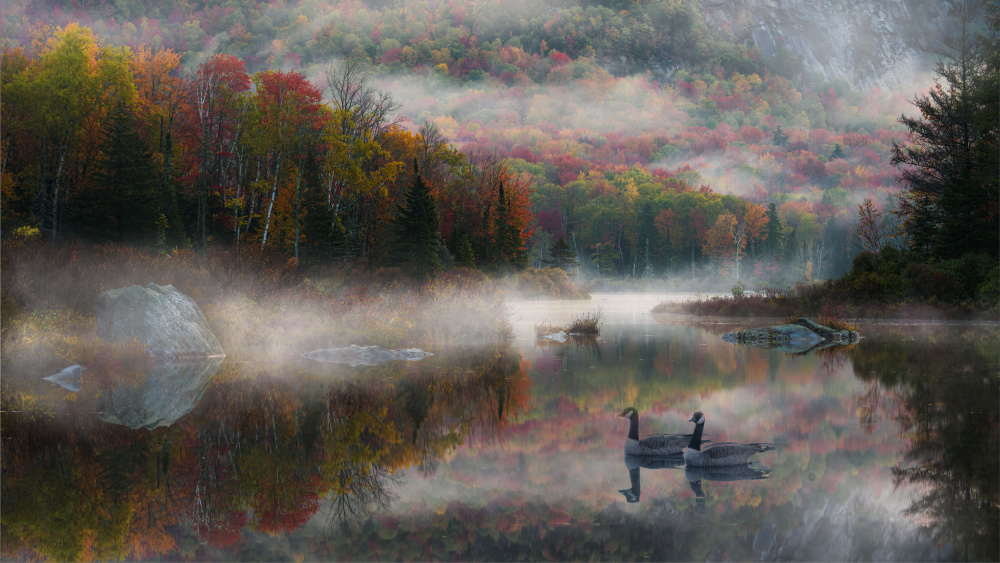 untitledl von Johnny Zhang