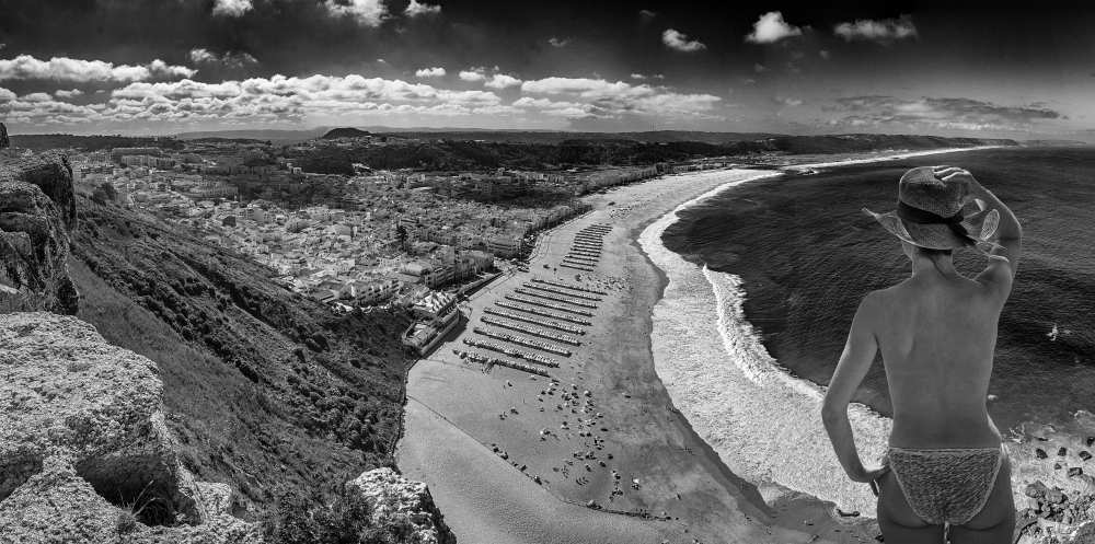 The tourist von Jois Domont