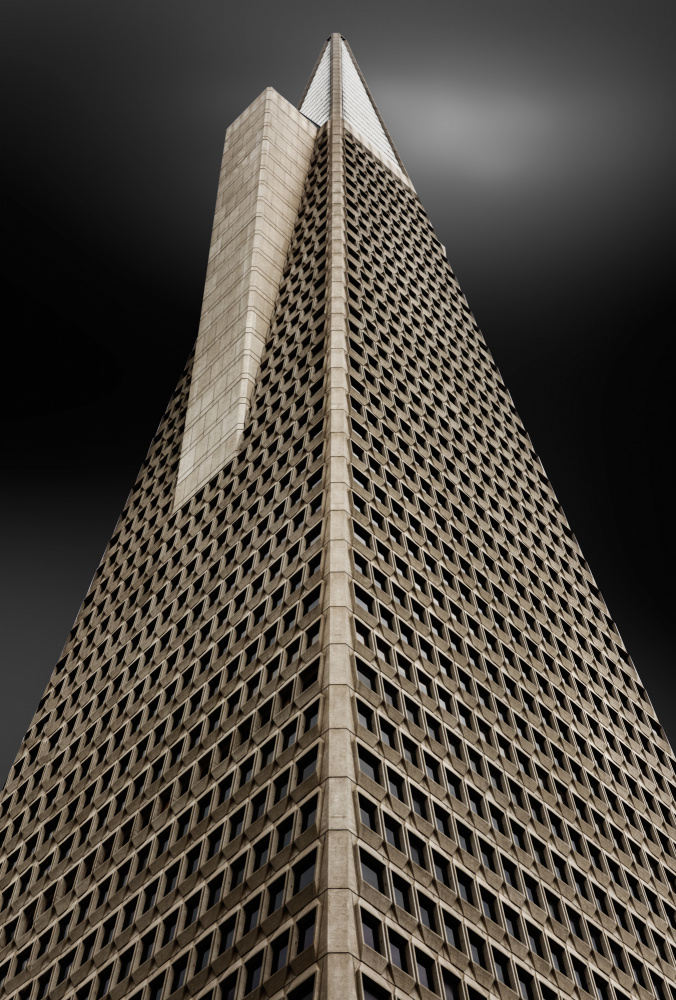 The spine  (La espina dorsal) von Jois Domont ( J.L.G.)