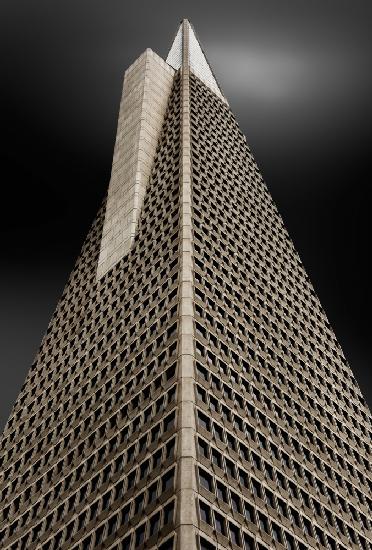 The spine  (La espina dorsal)