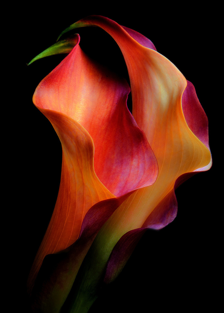 Tenderness von Jon Kinney