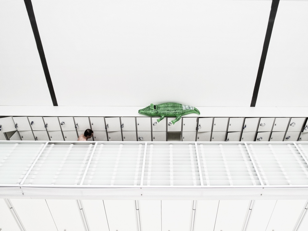 Beware of the alligator von Jonathan Lai