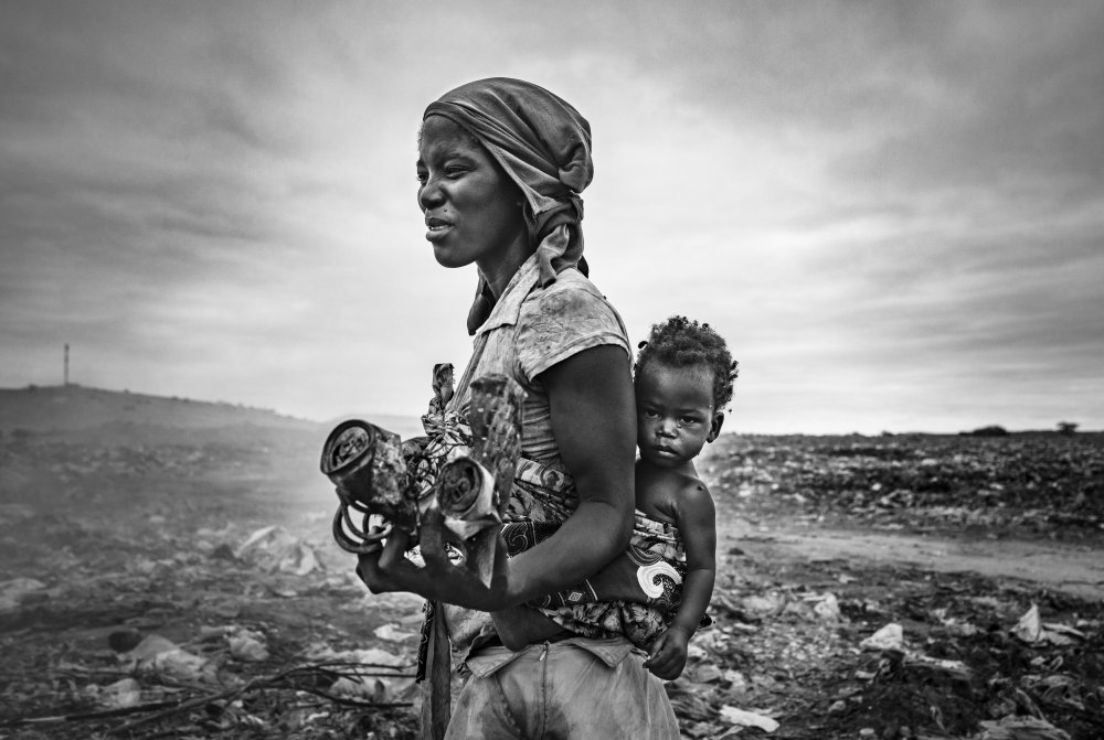 The scale of life von João Coelho