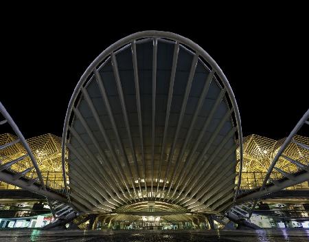 Calatravanism in Lisboa