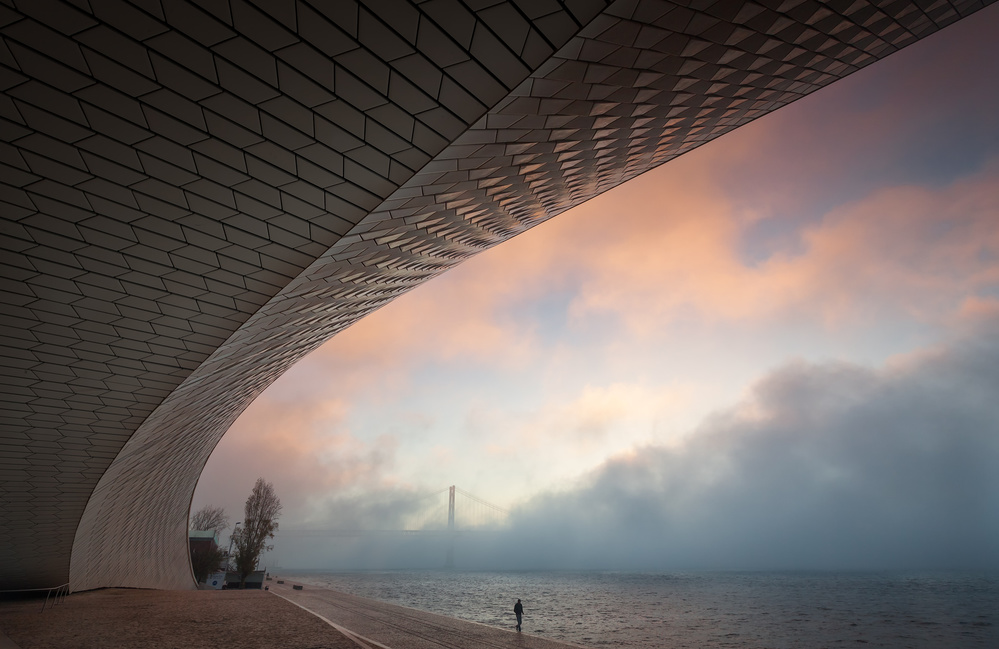 Morning fog von Jorge Feteira