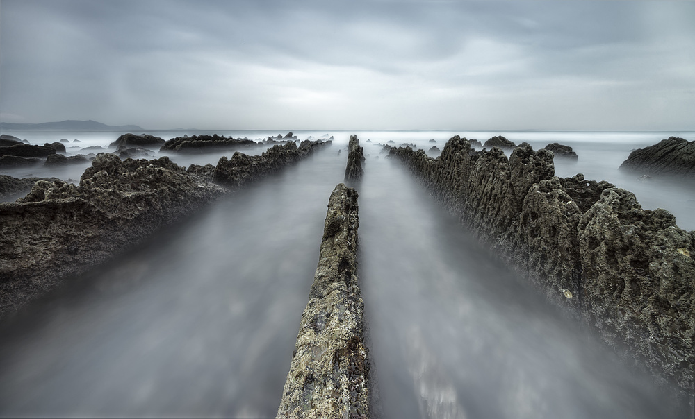 SHARK von Jorge Gonzalez Herrera