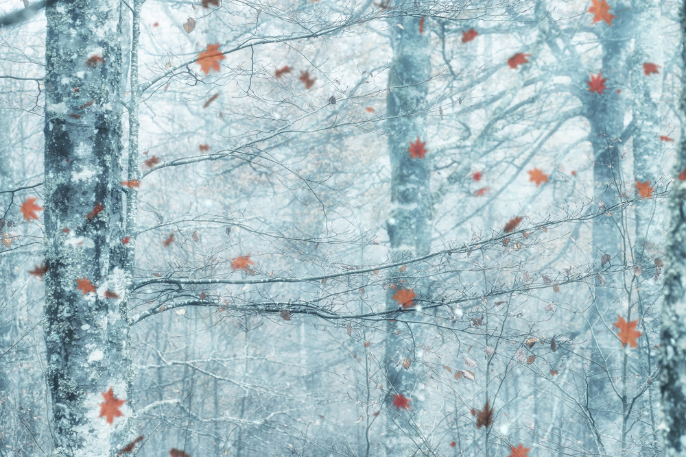 LA GRAN ILUSION von Jorge Gonzalez Herrera