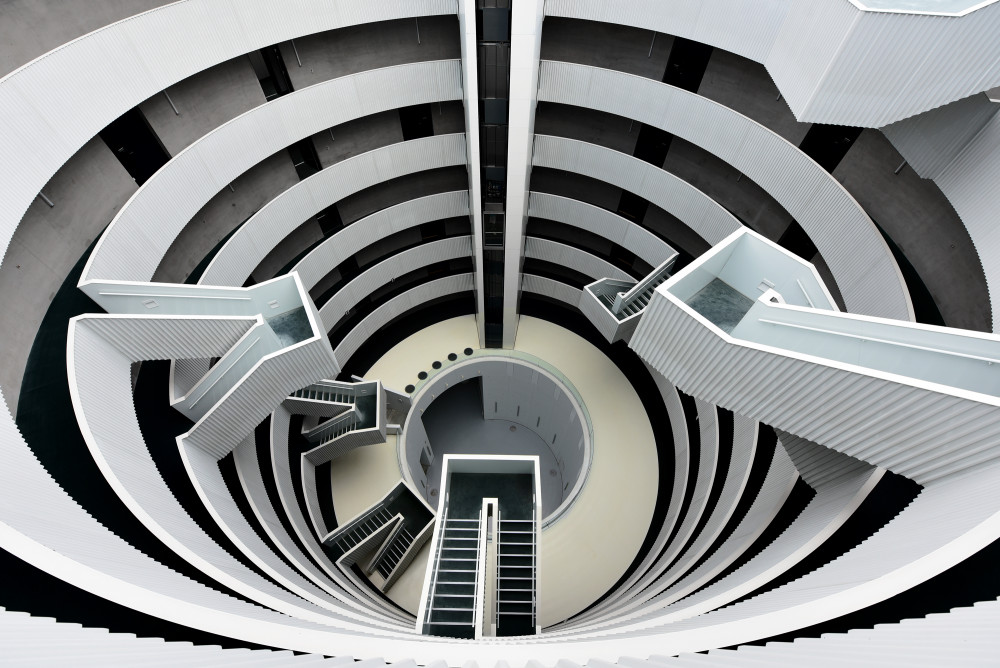 The hive von Jorge Pimenta