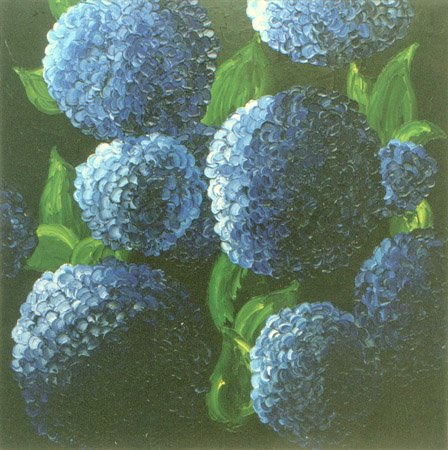 Hortensien I von Josch