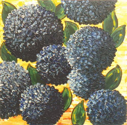 Hortensien Il von Josch