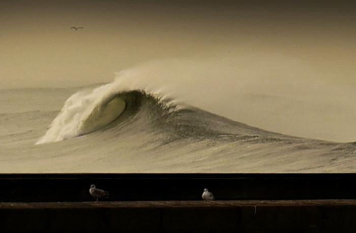 José Augusto Suzano Magalhães