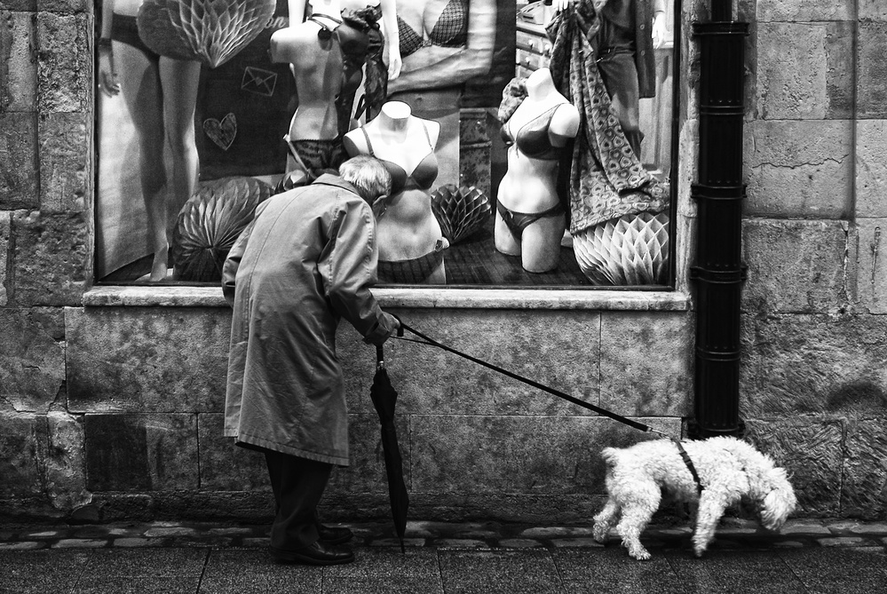 Looking for a gift von Jose C. Lobato