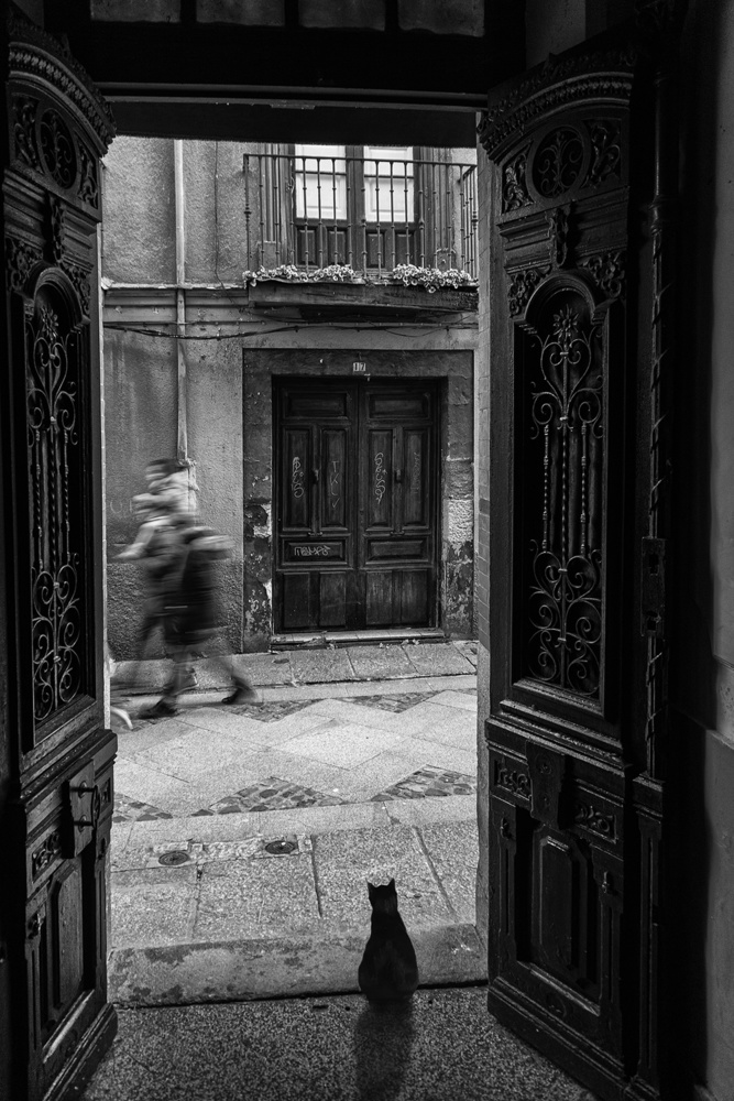 Watching people go by von Jose C. Lobato