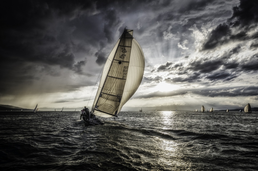 le retour von José Fangueiro