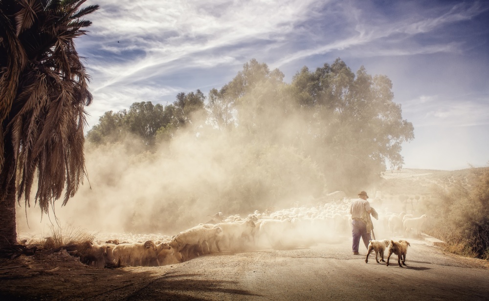 Trasumancia... von Jose Luis Serrano