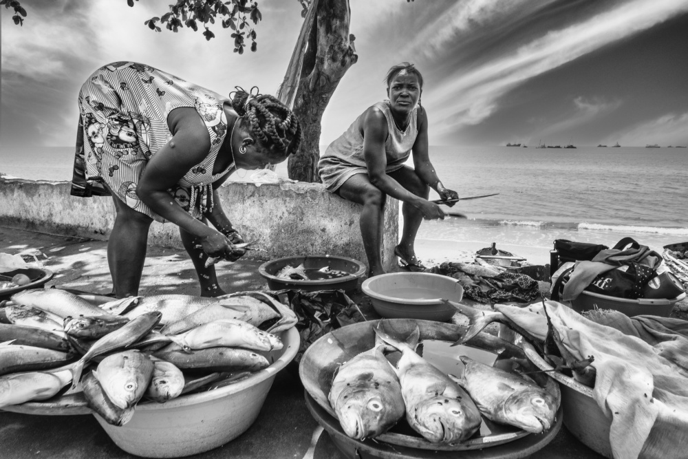 untitledl von José Manuel cruz