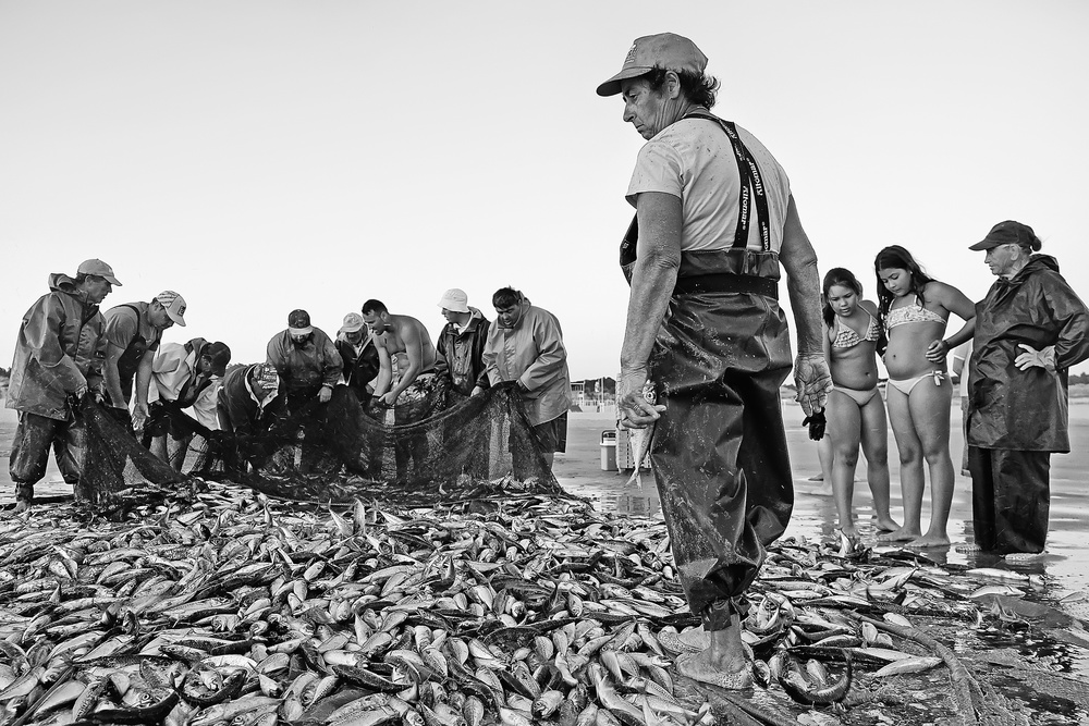 disappointment von Josefina Melo