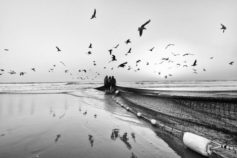 Salt Lives #26 von Josefina Melo