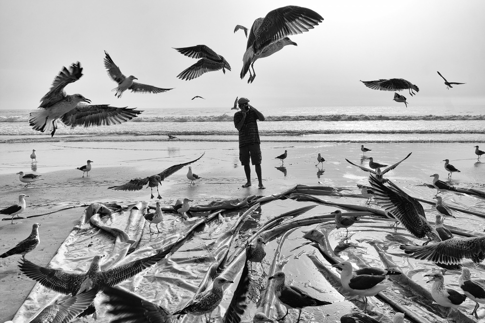 Salt Lives #31 von Josefina Melo