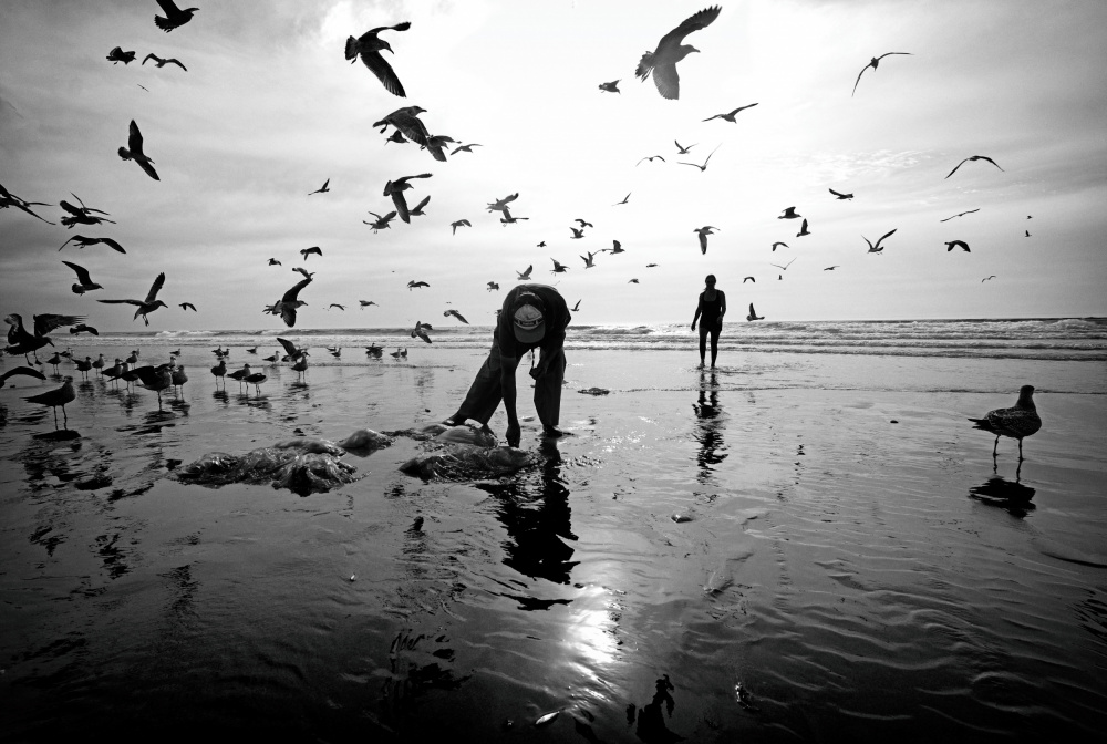 Salt Lives #34 von Josefina Melo