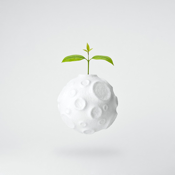 In meiner Welt... von Jose Maria Frutos