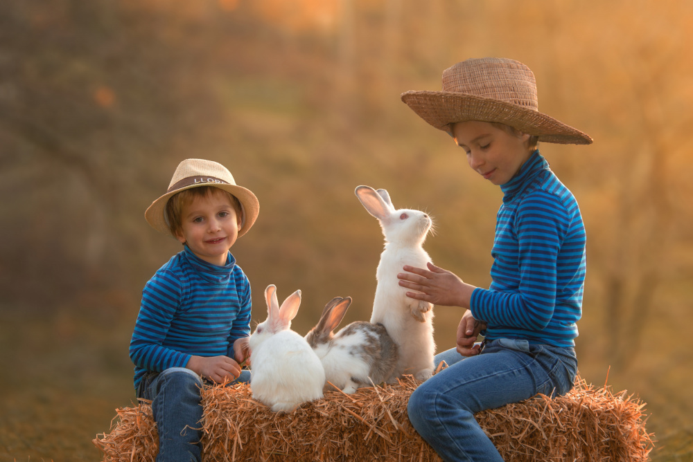 Friends von Joško Šimic