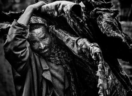 A man carrying dry cow skins (Ethiopia)