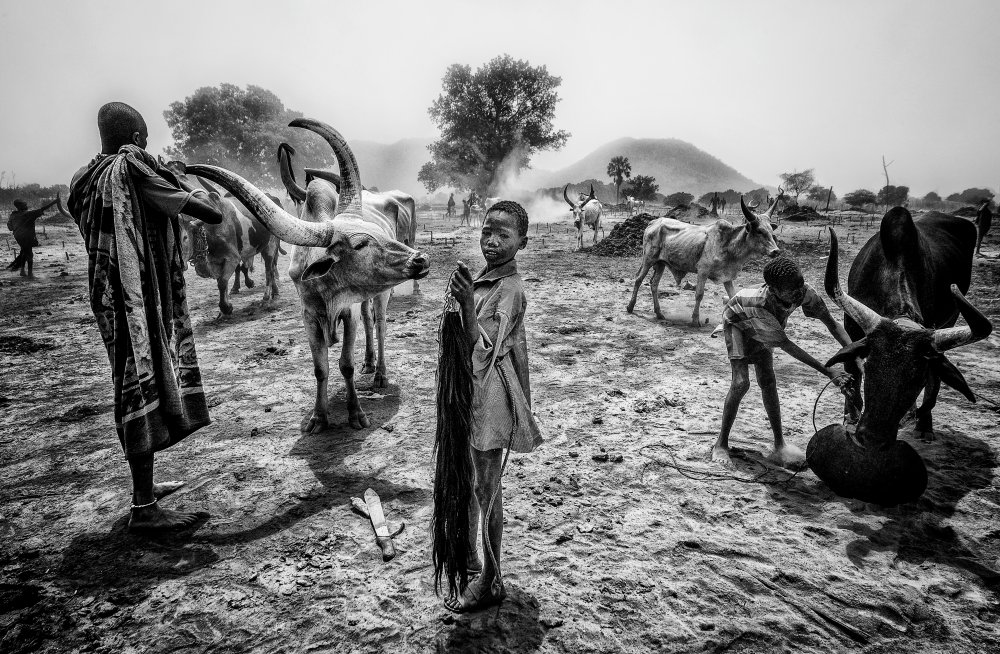 A scene of life in a mundari camp. von Joxe Inazio Kuesta Garmendia
