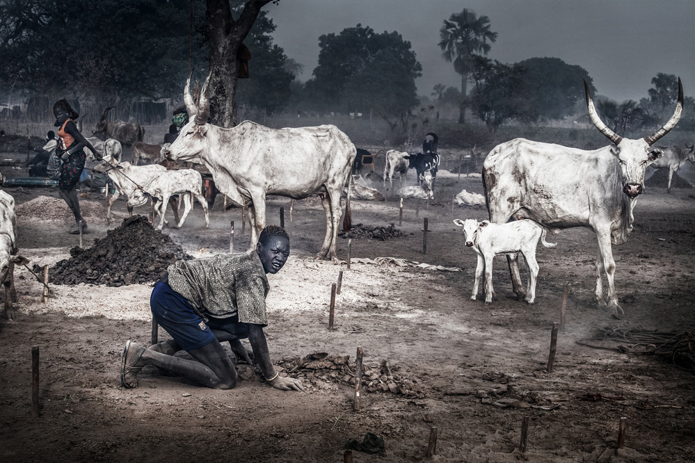 A scene in a mundari cattle camp-I - South Sudan von Joxe Inazio Kuesta Garmendia