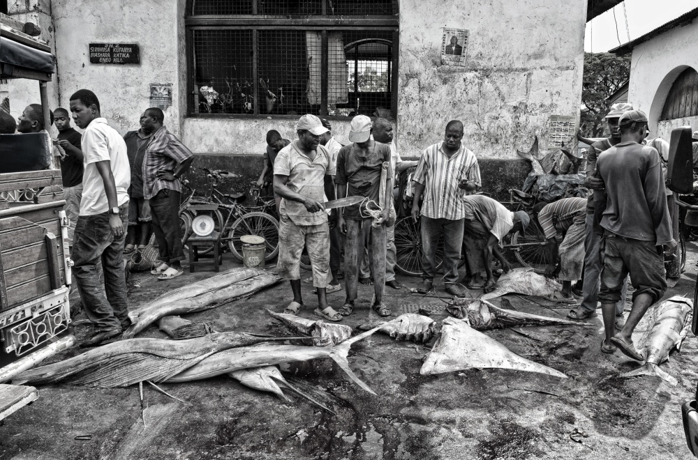 Fish market in Zanzibar. von Joxe Inazio Kuesta Garmendia