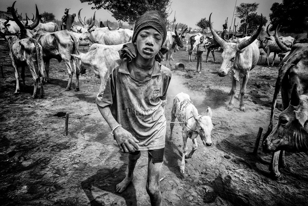 At a mundari cattle camp - South Sudan von Joxe Inazio Kuesta Garmendia