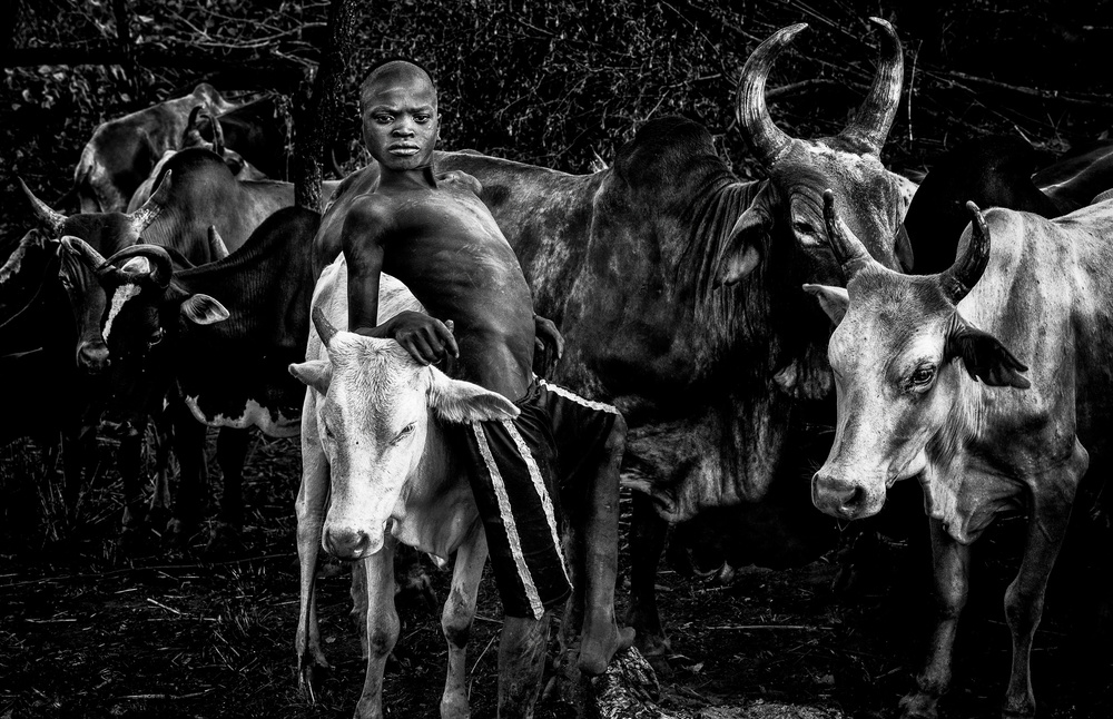 Surma tribe boy taking care of the cattle. von Joxe Inazio Kuesta Garmendia