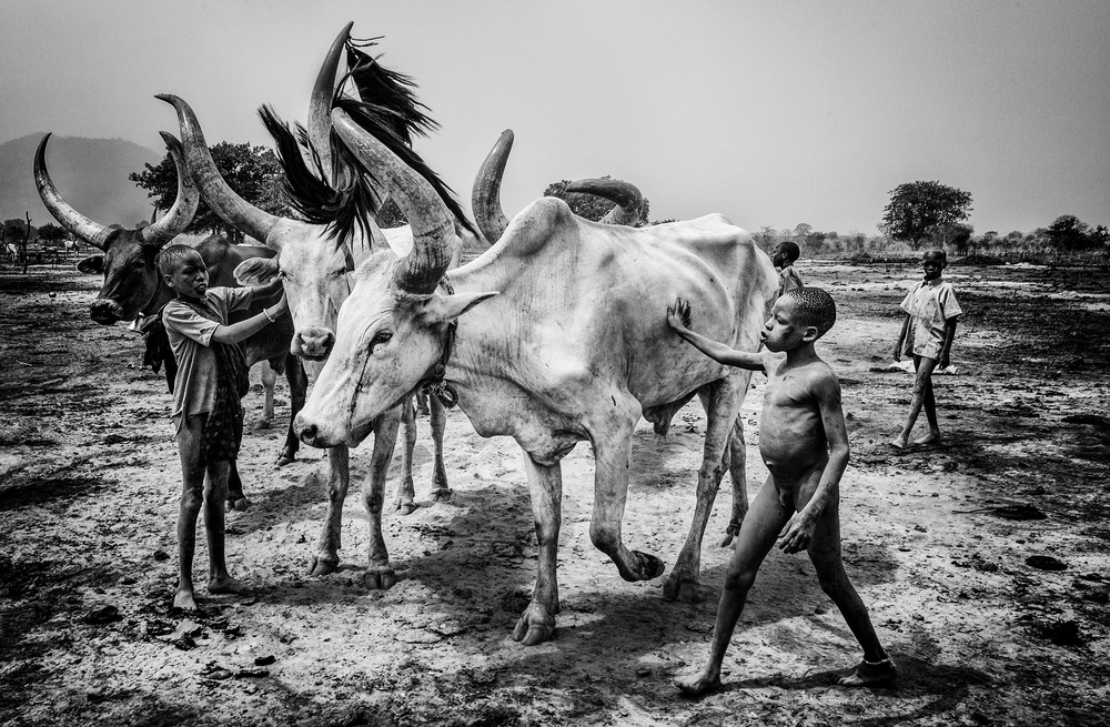 Mundari tribe children taking care of the cattle - South Sudan von Joxe Inazio Kuesta Garmendia
