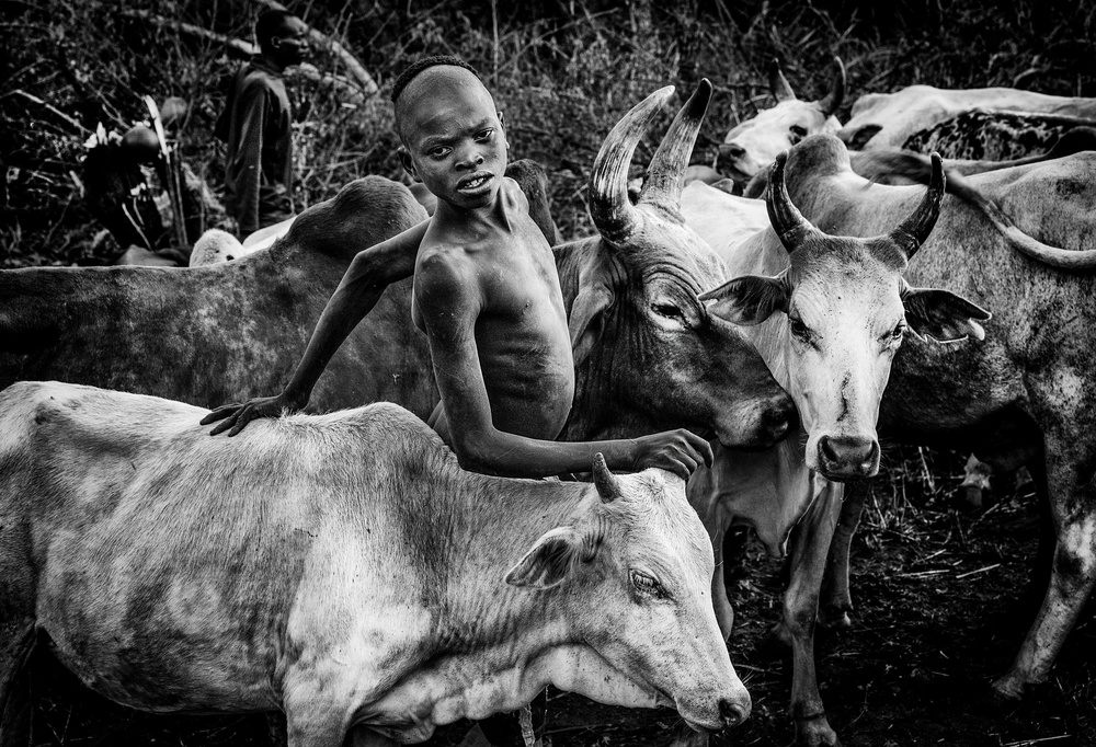 Surma tribe people taking care of the cattle-I Ethiopia von Joxe Inazio Kuesta Garmendia