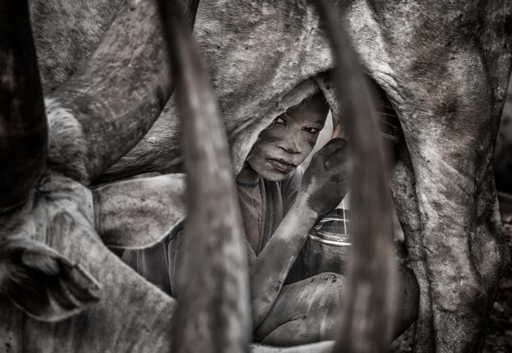 Mundari child milking a cow-II - South Sudan von Joxe Inazio Kuesta Garmendia