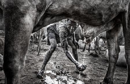 Mundari child collecting urine to wash his face - South Sudan