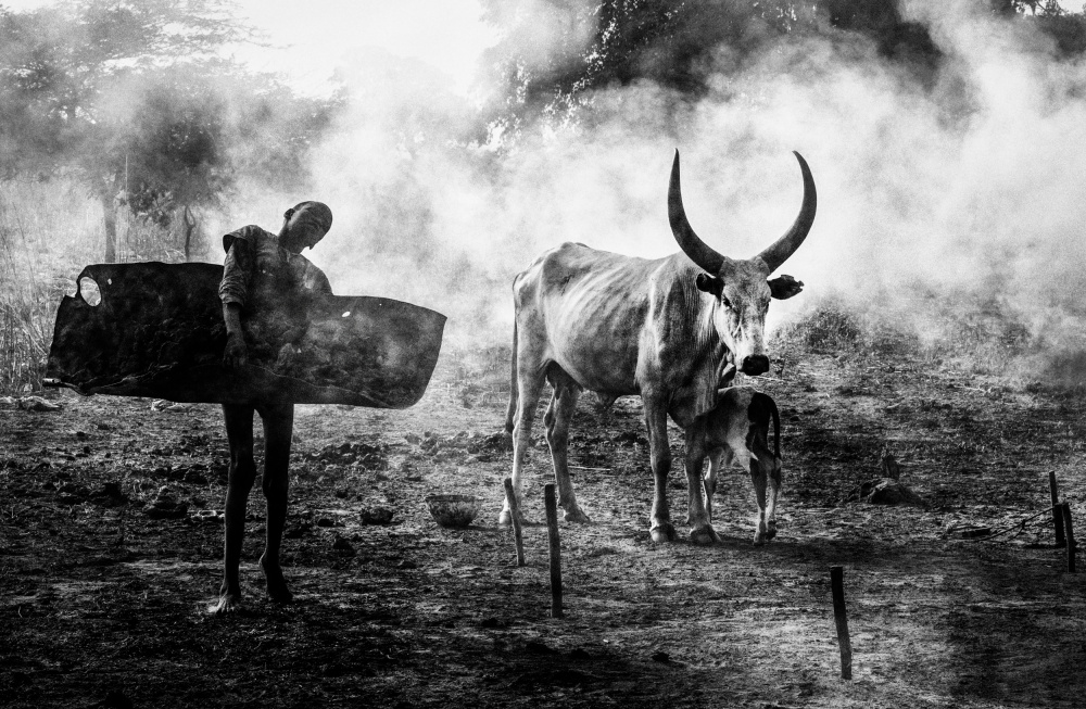 Mundari chlid carrying dung - South Sudan von Joxe Inazio Kuesta Garmendia