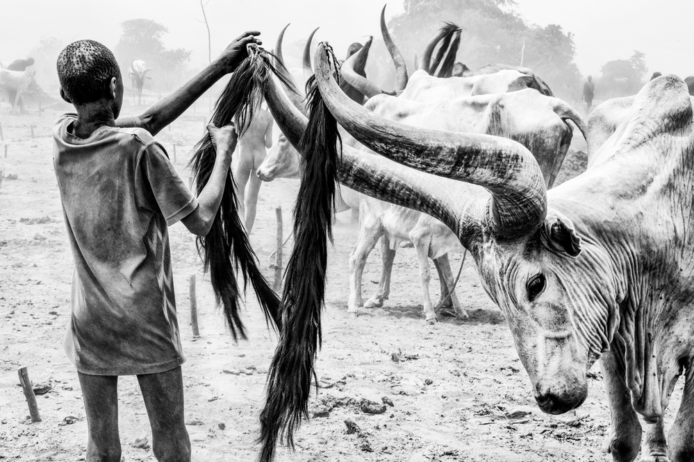 untitledl von Joxe Inazio Kuesta Garmendia