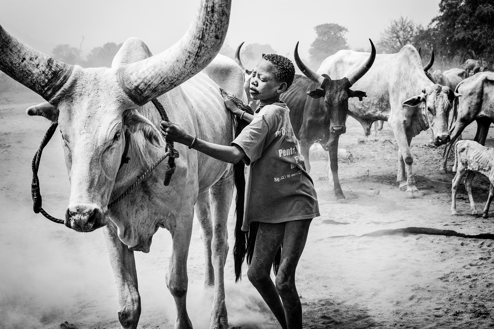 Mundari cattle camp - South Sudan von Joxe Inazio Kuesta Garmendia