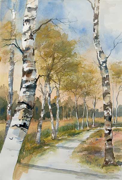 Birken 1 von Jürgen Spira