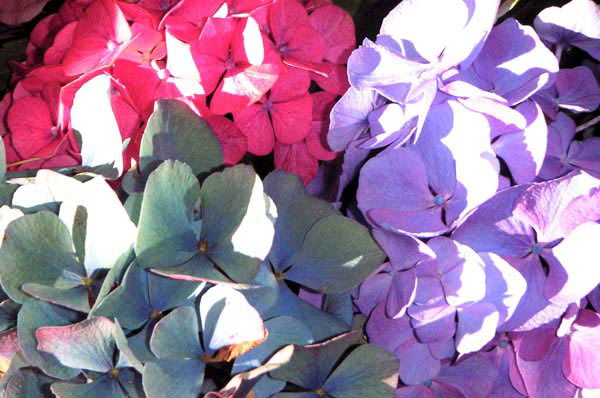 Farbenspiel von Jürgen Kunz