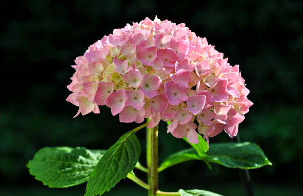 Perfekte Harmonie von Jürgen Kunz