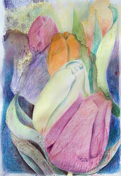 Tulpen 2 von Jürgen Spira