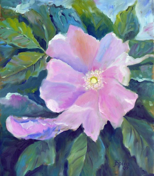 Wildrose  von Jürgen Spira