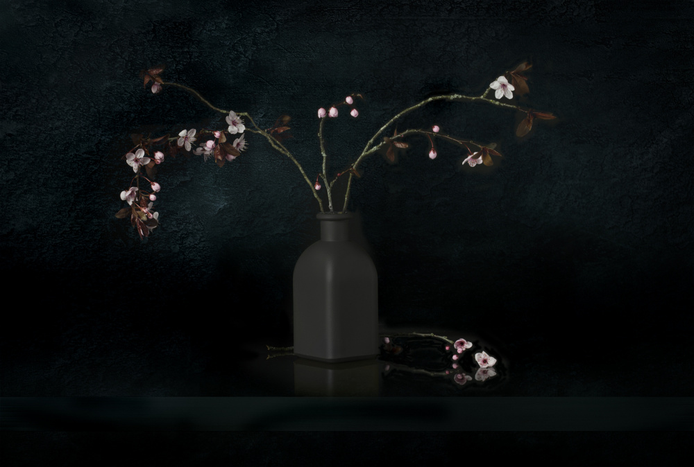 Still Life 2307 von Juan Antonio Palacios